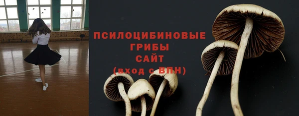 прущие крисы Белокуриха