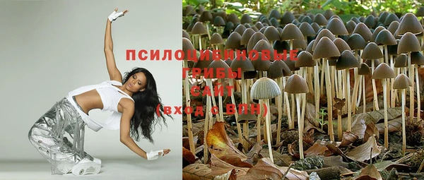не бодяженный Беломорск