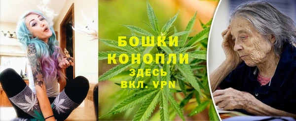 прущие крисы Белокуриха